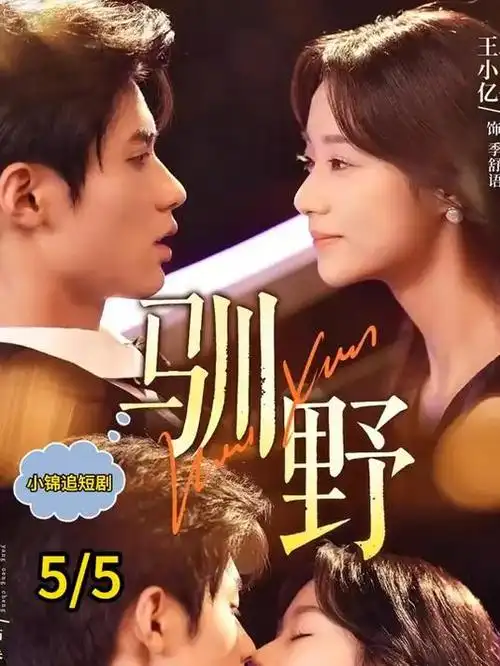 九重檐下 海报